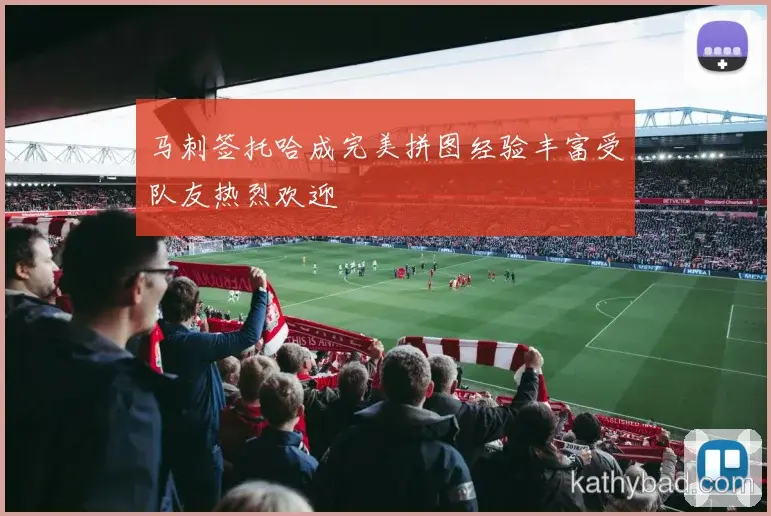 上海海港与浙江队巅峰对决 球迷翘首期待冠军之争